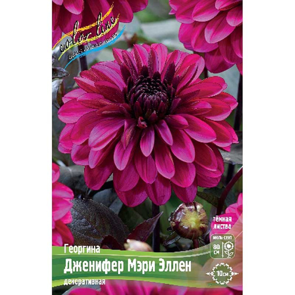 Георгина Дженифер Мэри Эллен 1 шт