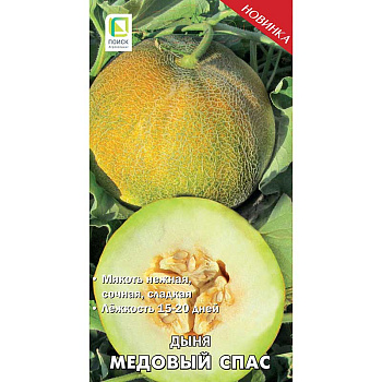 Дыня Медовый Спас Поиск Ц