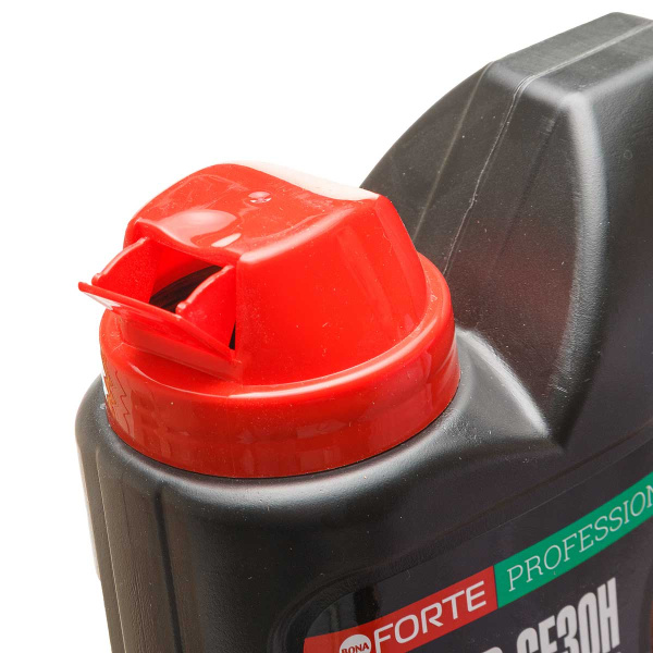 Бона Форте 1 кг Газонное с кремнием канистра х12 