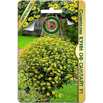 Санвиталия Куин оф Санлайт Биотехника Ц х10 