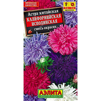 Астра Калифорнийская исполинская Аэлита Ц 