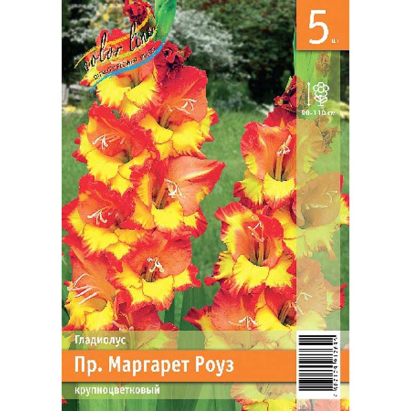 Гладиолус Пр.маргарет Роуз 10/12 5 Эконом шт