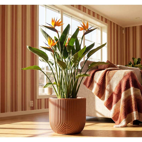 Кашпо РАМОНА D280мм 7,8л со вставкой терракотовый М3263 х1 