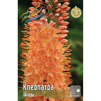 8633 Биг-Пак Ширяш Клеопатра I 10 шт