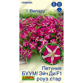 Петуния БУУМ Эйч Ди Роуз многоцветковая Аэлита Ц 