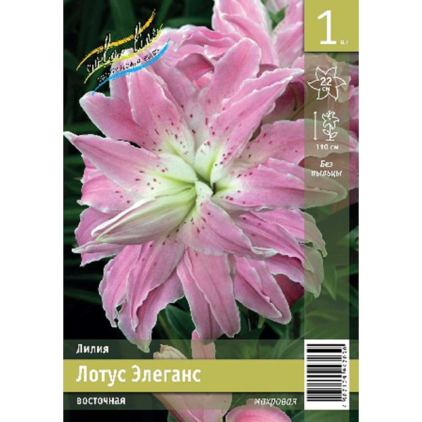 Лилия Лотус Элеганс 16/18 1 Эконом шт