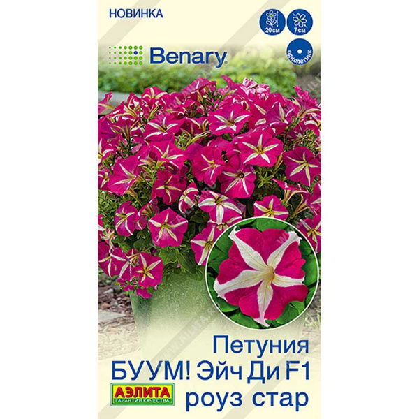 Петуния БУУМ Эйч Ди Роуз многоцветковая Аэлита Ц 