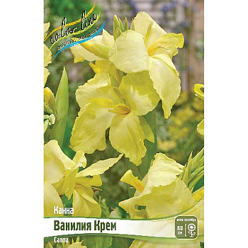 Канна (Зелен) Ванилия Крем I 15 шт Шоу-бокс 11049