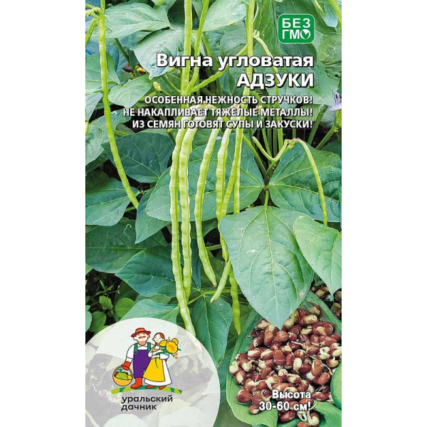 Вигна Адзуки Марс Ц