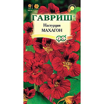 Настурция Махагон махр Гавриш Ц 
