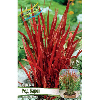 Императа Ред Барон I 50 шт Биг-Пак 4555
