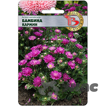 Астра Бамбина Кармин Биотехника Ц 