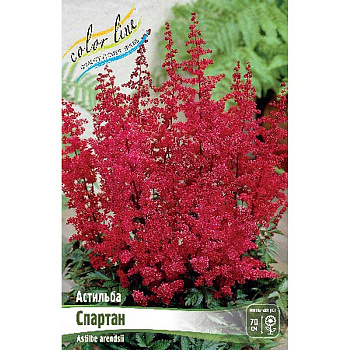 Астильба Спартан 2/3 n 25 шт Биг-пак 6856