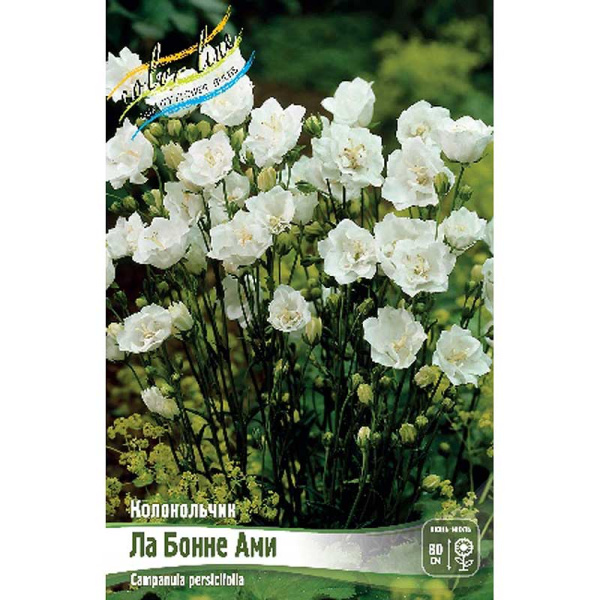 8445 Биг-Пак Колокольчик Ла Бонне Ами I 25 шт 