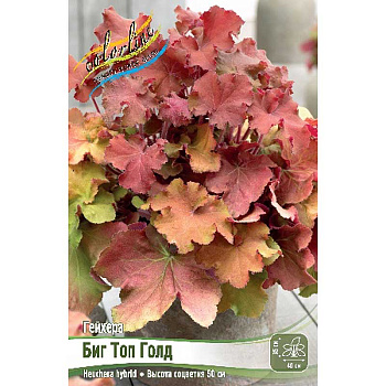 Гейхера Биг Топ Голд I 25 шт Биг-Пак 14597 