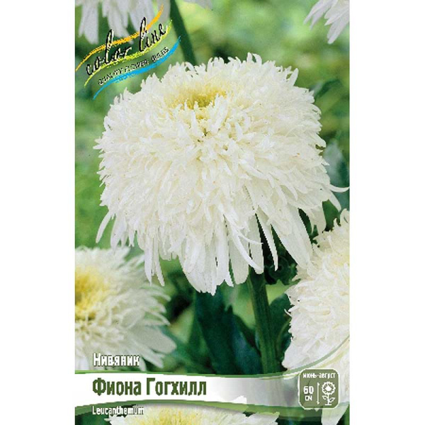Нивяник Фиона Гогхилл I 1 шт