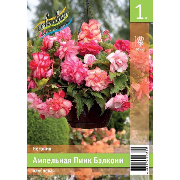 Бегония Ампельная Пинк Бэлкони 5/6 1 Эконом шт