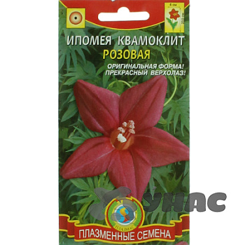 Ипомея Квамоклит Розовая Плазма Ц 