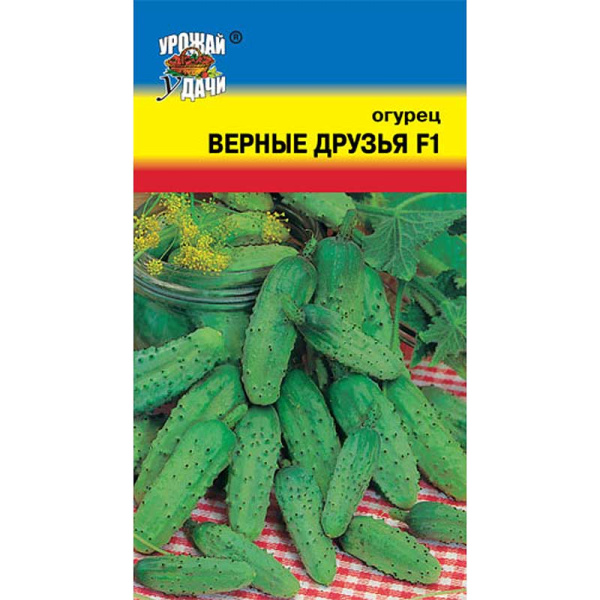 Огурец Верные друзья Урожай у дачи Ц