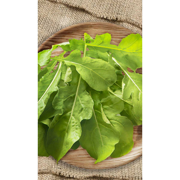 Рукола Полиглот культурная 0,5гр Greenomica/Садовита Ц