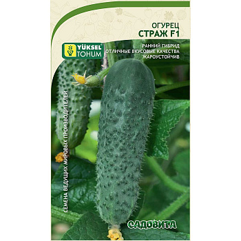 Огурец Страж F1 5шт Yuksel Tohum/Садовита Ц