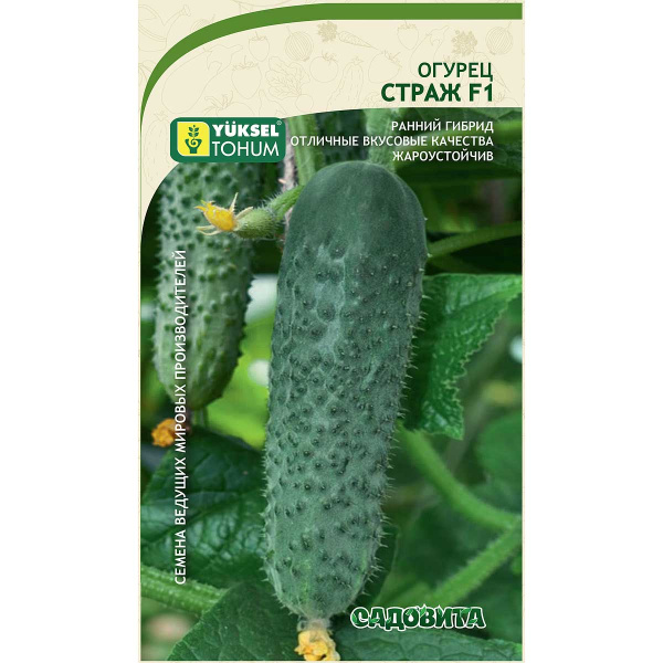 Огурец Страж F1 5шт Yuksel Tohum/Садовита Ц