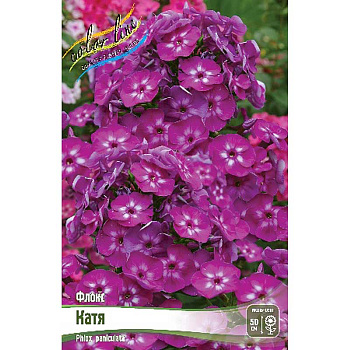 8088 Биг-Пак Флокс Катя I 25 шт