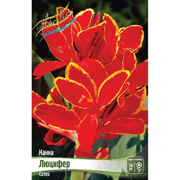 Канна (Зелен) Люцифер I 15 шт Шоу-бокс 8676
