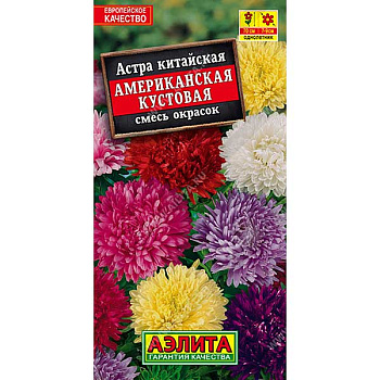 Астра Американская кустовая  Аэлита Ц 