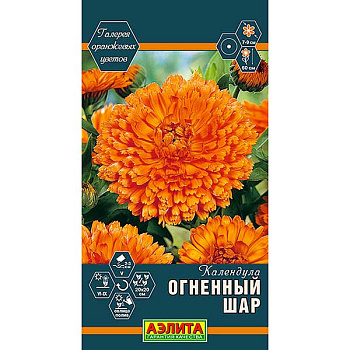 календула Огненный шар Аэлита Ц 