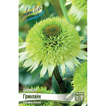 Эхинацея Гринлайн I 1 шт 