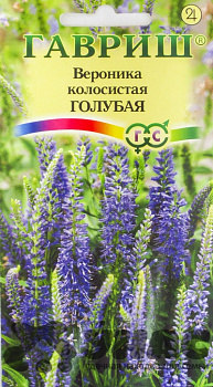 Вероника колосистая голубая Гавриш Ц 