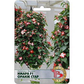 Импатиенс Валлера Имара F1 Оранж Стар Биотехника Ц 