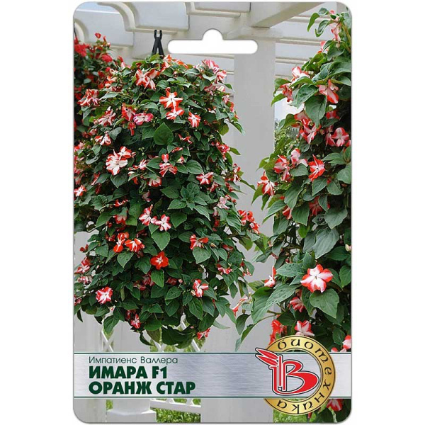 Импатиенс Валлера Имара F1 Оранж Стар Биотехника Ц 