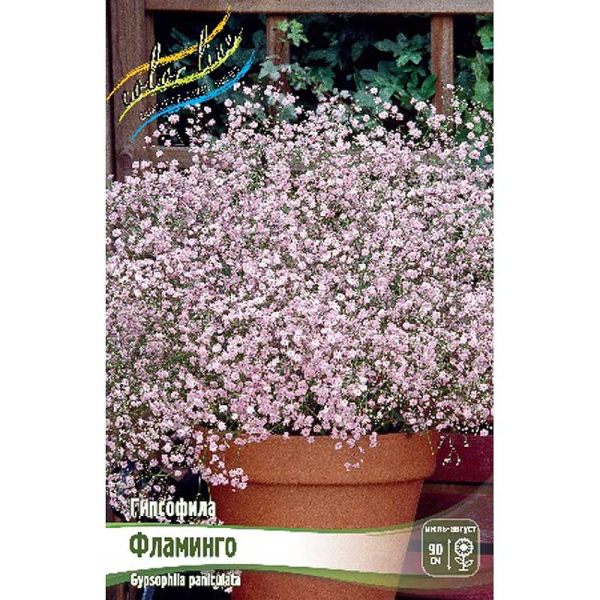 8375 Биг-Пак Гипсофила Фламинго I 25 шт 