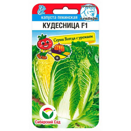 Капуста пекинская Кудесница СибСад