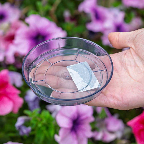 Поддон d10 Антрацит Пласт Авеню х180 