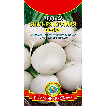 Редька Зимняя круглая белая Плазма Ц