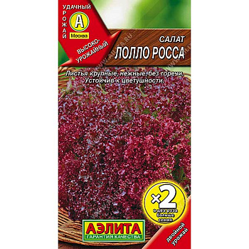 Салат Лолло Росса листовой 2-ая грамм. Аэлита Ц x10