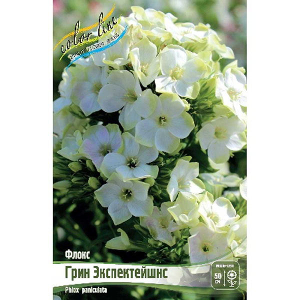 Флокс Грин Экспектейшнс I 1 шт