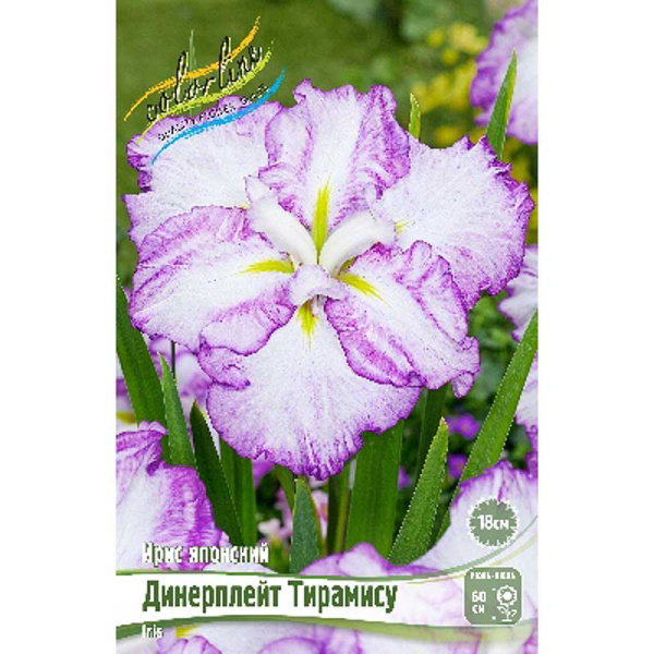 Ирис Мечевидный Динерплейт Тирамису I 1 шт