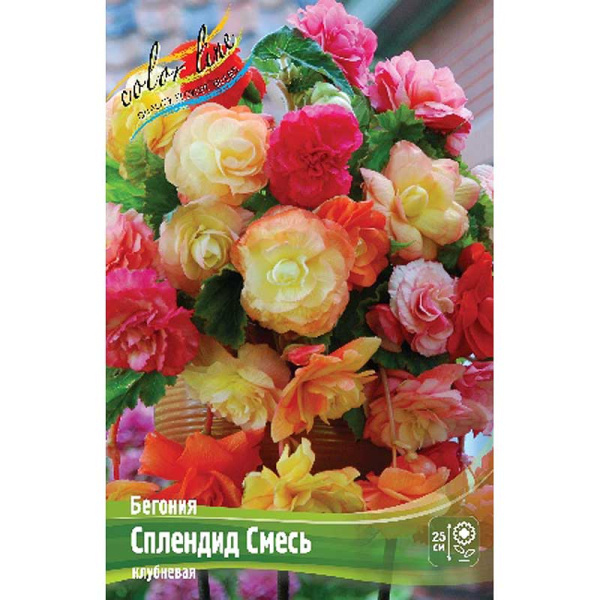 Бегония Сплендид Смесь 5/6 50 шт Шоу-бокс 8839