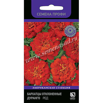 Бархатцы  Дуранго Ред Поиск Ц 
