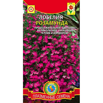 Лобелия Розамунда Плазма Ц 