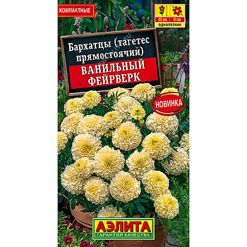Бархатцы Ванильный фейерверк Аэлита Ц 