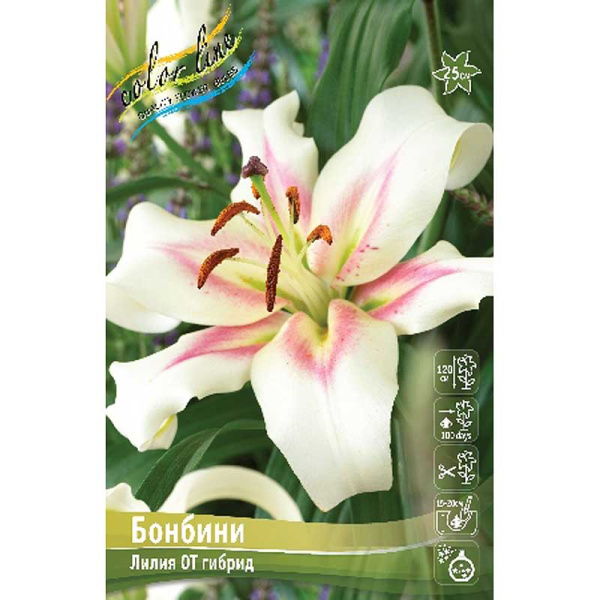 Лилия Бонбини 12/14 25 шт Биг-пак 10481 