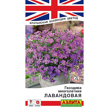 Гвоздика Лавандовая многолетняя Аэлита Ц 
