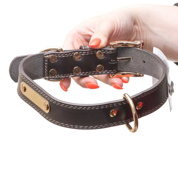 Ошейник 62 см 3 см полиуритан МИКС NA2621 (240)