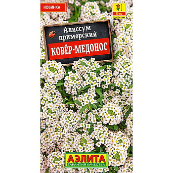 Алиссум Ковер-медонос Аэлита Ц 