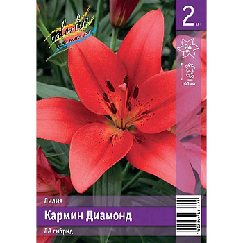 Лилия Кармин Диамонд 10/12 2 Эконом шт